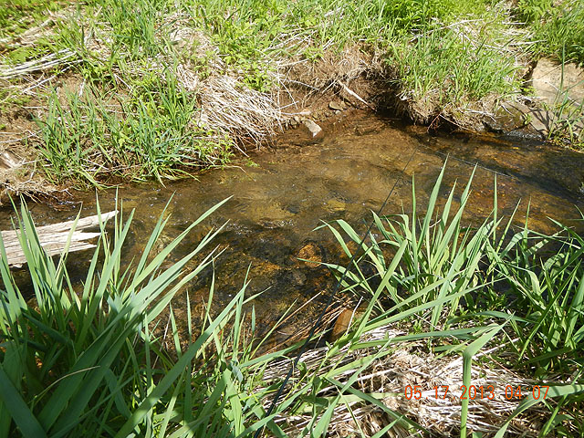 camp 05-17-13 012.jpg -                                